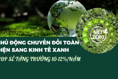 Chủ động chuyển đổi toàn diện sang kinh tế xanh, GDP sẽ tăng trưởng 10-12%/năm