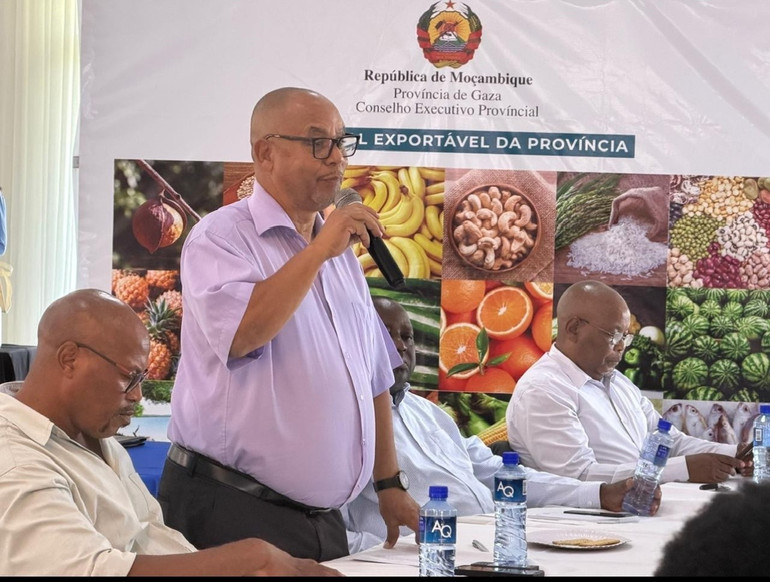 Εκπρόσωποι επιχειρήσεων της Μοζαμβίκης ανταλλάσσουν απόψεις σε εκδήλωση προώθησης εμπορίου και επενδύσεων μεταξύ Βιετνάμ και Γάζας. (Φωτογραφία: Πρεσβεία του Βιετνάμ στη Μοζαμβίκη) thin2.jpg