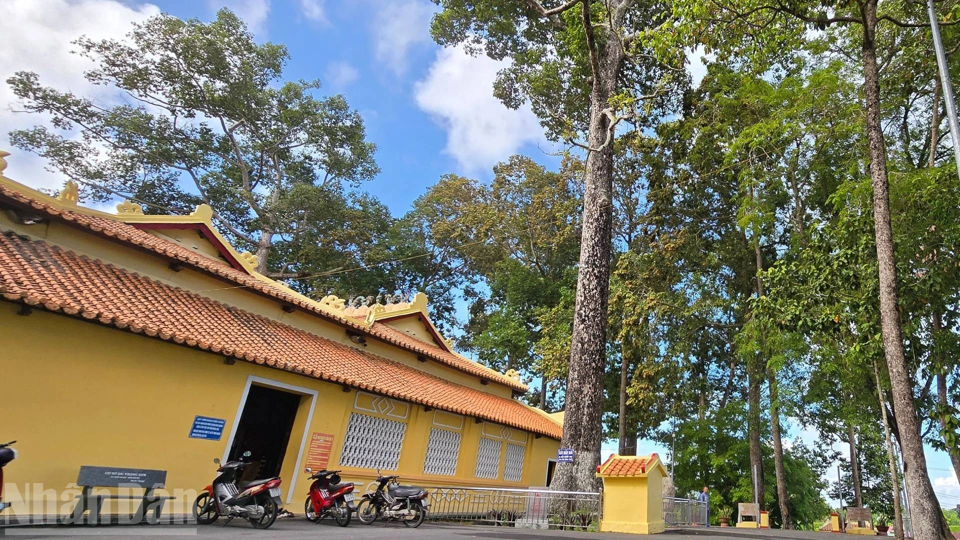 An Giang: 25 Cây Di Sản Việt Nam - Những Chứng Nhân Sống Của Lịch Sử Và Văn Hóa