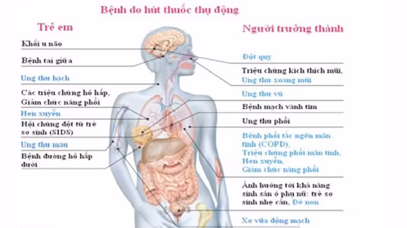 thuoc-la-va-benh.jpg