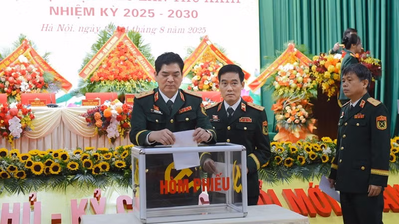 dhqy5.jpg