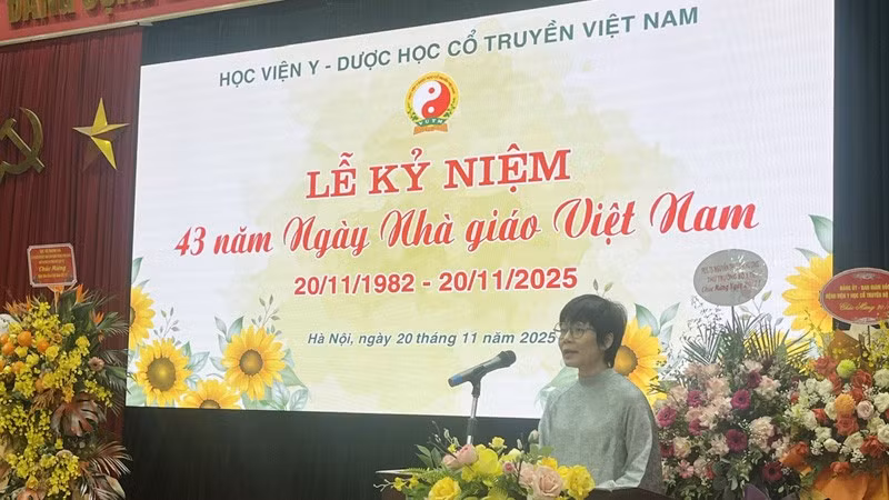 hv3.jpg