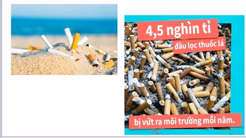 Rác thải từ thuốc lá gây ô nhiễm môi trường không khí, đất, nước tại các quốc gia trên thế giới.