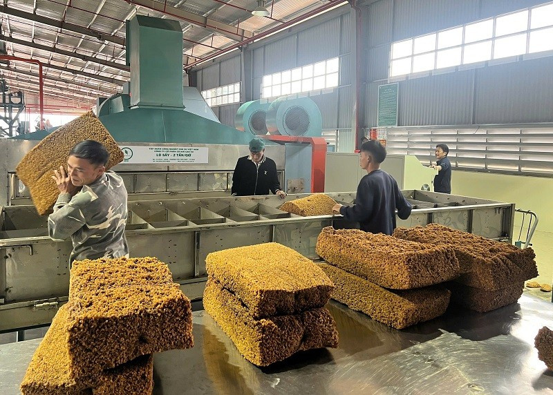 Lô sản phẩm cao-su đầu tiên mang thương hiệu SVR10 và SVR20 được sản xuất tại Nhà máy chế biến mủ cao-su Điện Biên.