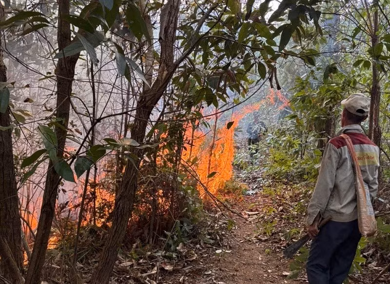 Hiện trường vụ cháy tại Na Sang (xảy ra 3/4) đã được nhân dân địa phương và lực lượng chức năng kịp thời dập tắt. 