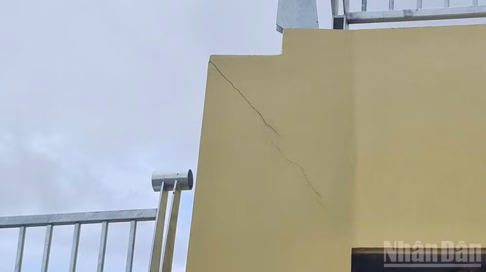 ndo_br_129.jpg