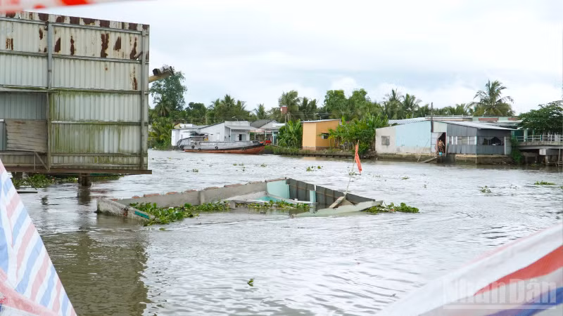 Một vụ sạt lở bờ sông trên địa bàn thành phố Cần Thơ.