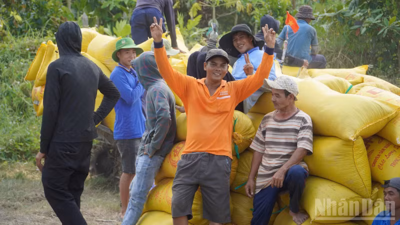 ndo_br_thiet-ke-chua-co-ten7.png