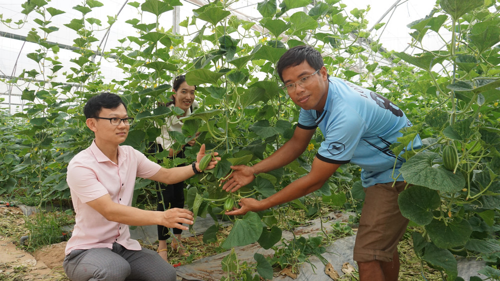 Anh Trần Xuân Đăng (bên phải) giới thiệu về cơ chế phát triển của cây dưa. (Ảnh Văn Học)