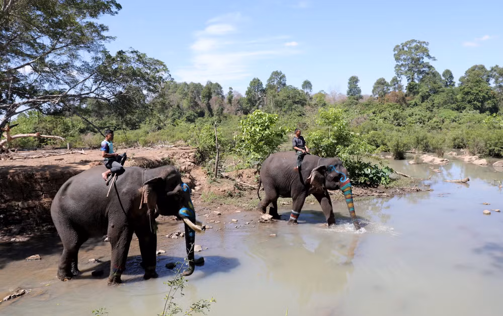 Khu vực để nghỉ ngơi và tắm sông của các chú voi.