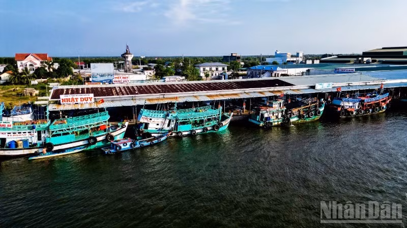 Với chính sách mới vừa ban hành, ngư dân Cà Mau được hỗ trợ 100% chi phí cước thuê bao hằng tháng trên thiết bị VMS đến hết năm 2028.