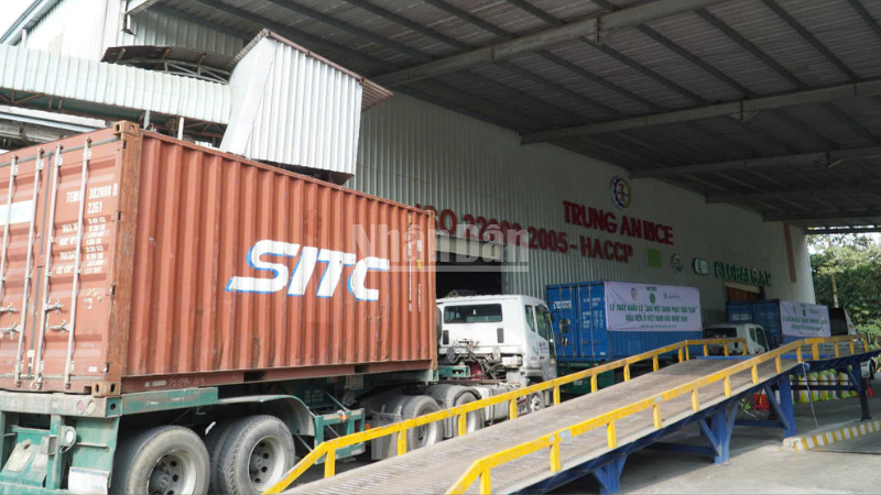 Chuyến container đầu tiên vận chuyển “Gạo Việt xanh phát thải thấp” xuất khẩu. ndo_c_thiet-ke-chua-co-ten-1.png