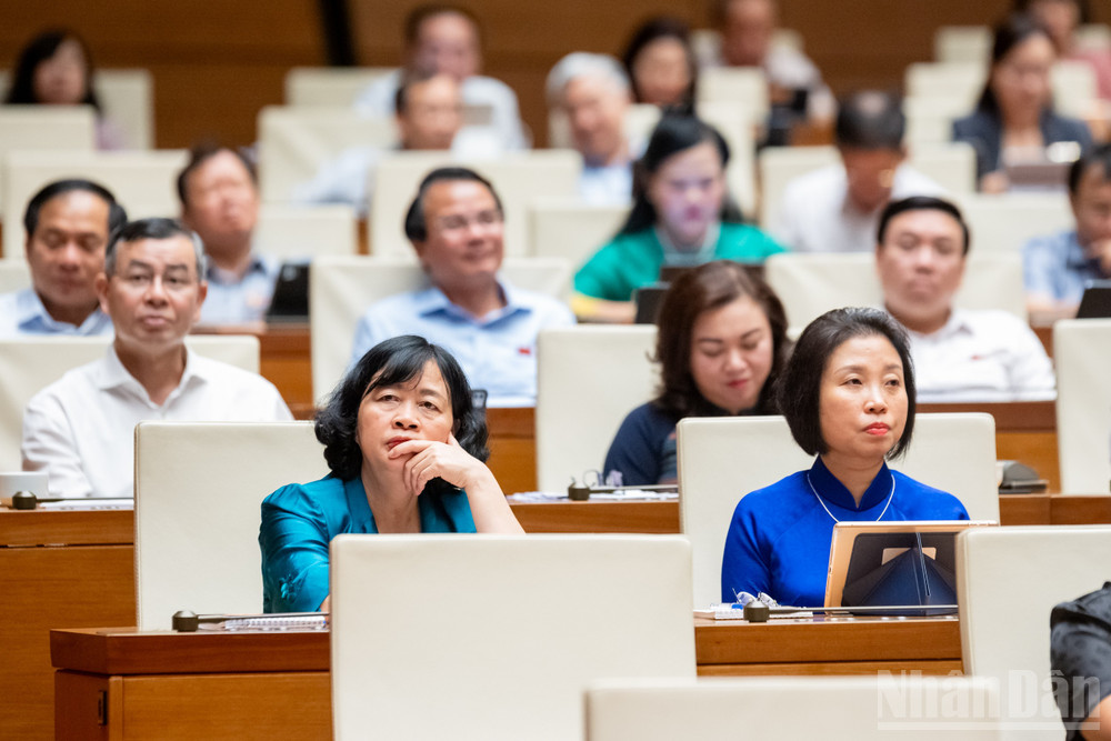 Các đại biểu dự phiên họp. (Ảnh: DUY LINH) ndo_br_z72-3053.jpg