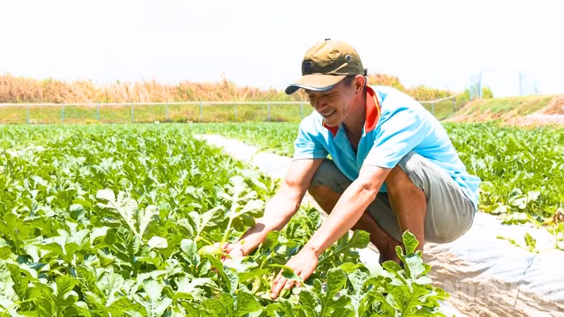 ndo_br_thiet-ke-chua-co-ten-1.png