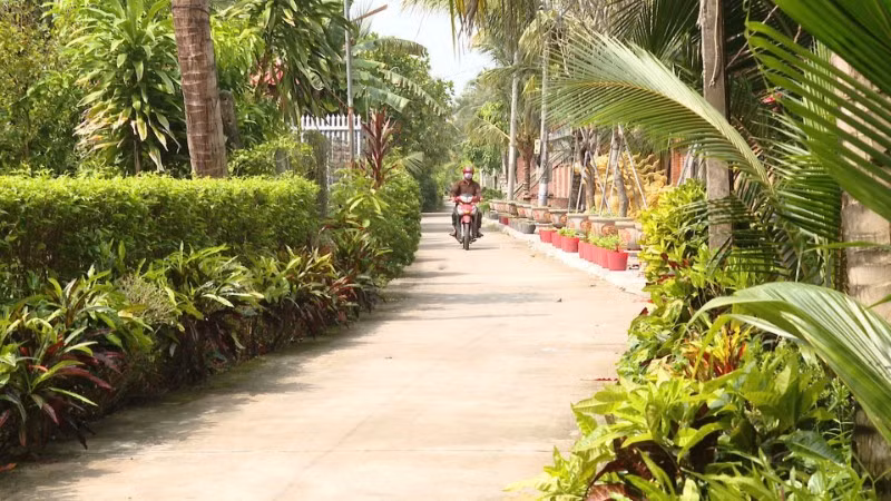 Quê hương Ấp Bắc đổi thay sau năm tháng chiến tranh.