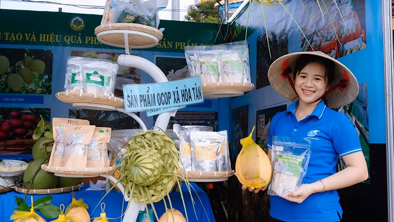 Sản phẩm dừa sáp của Hợp tác xã dừa sáp Hòa Tân, xã An Phú Tân, tỉnh Vĩnh Long đạt hạng OCOP 4 sao.