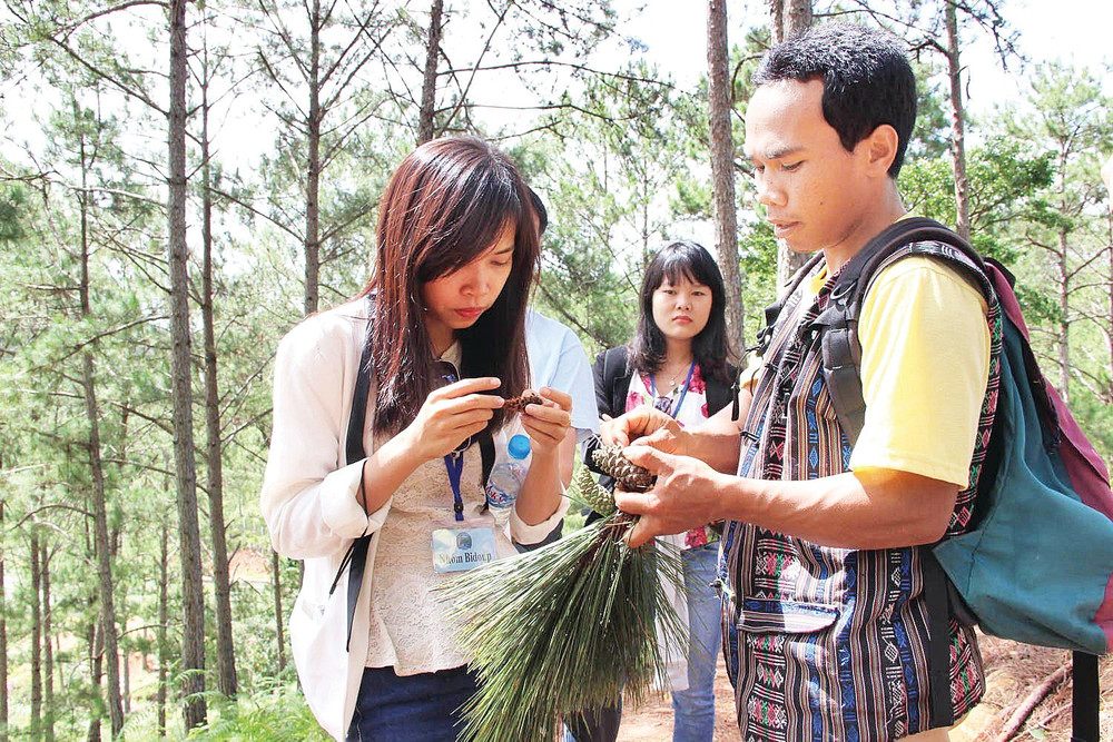 Thanh niên dân tộc Cơ Ho (Lâm Đồng) làm hướng dẫn viên du lịch.