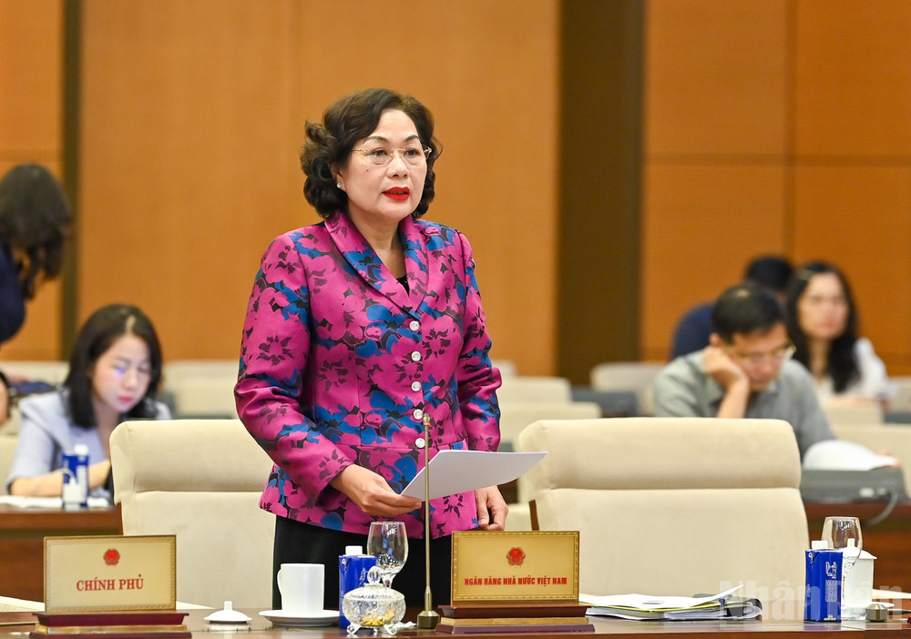 Thống đốc Ngân hàng Nhà nước Việt Nam Nguyễn Thị Hồng. (Ảnh: DUY LINH) ndo_br_td-nguyen-thi-hong.jpg