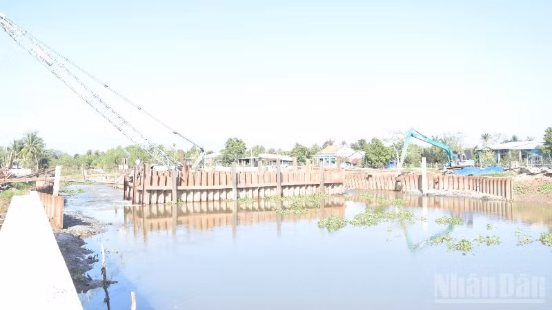 Đồng Tháp triển khai nhanh các cống ngăn mặn dọc theo sông Tiền.