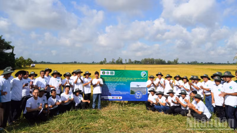 ndo_br_thiet-ke-chua-co-ten-3.png