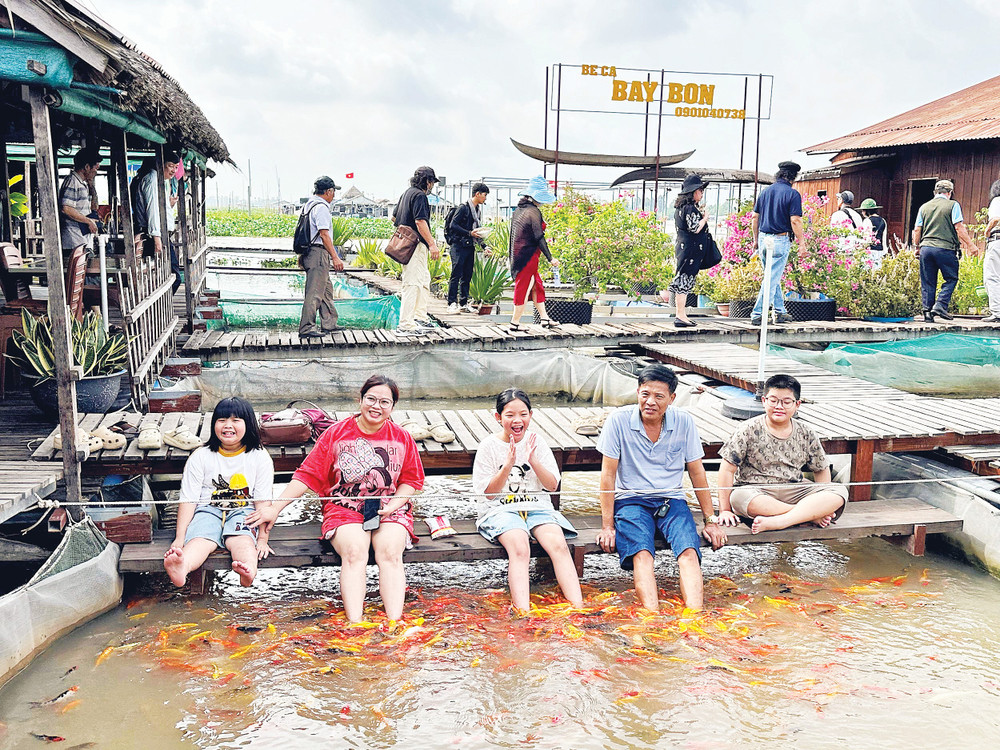 Massage bằng cá tại bè cá Bảy Bon.