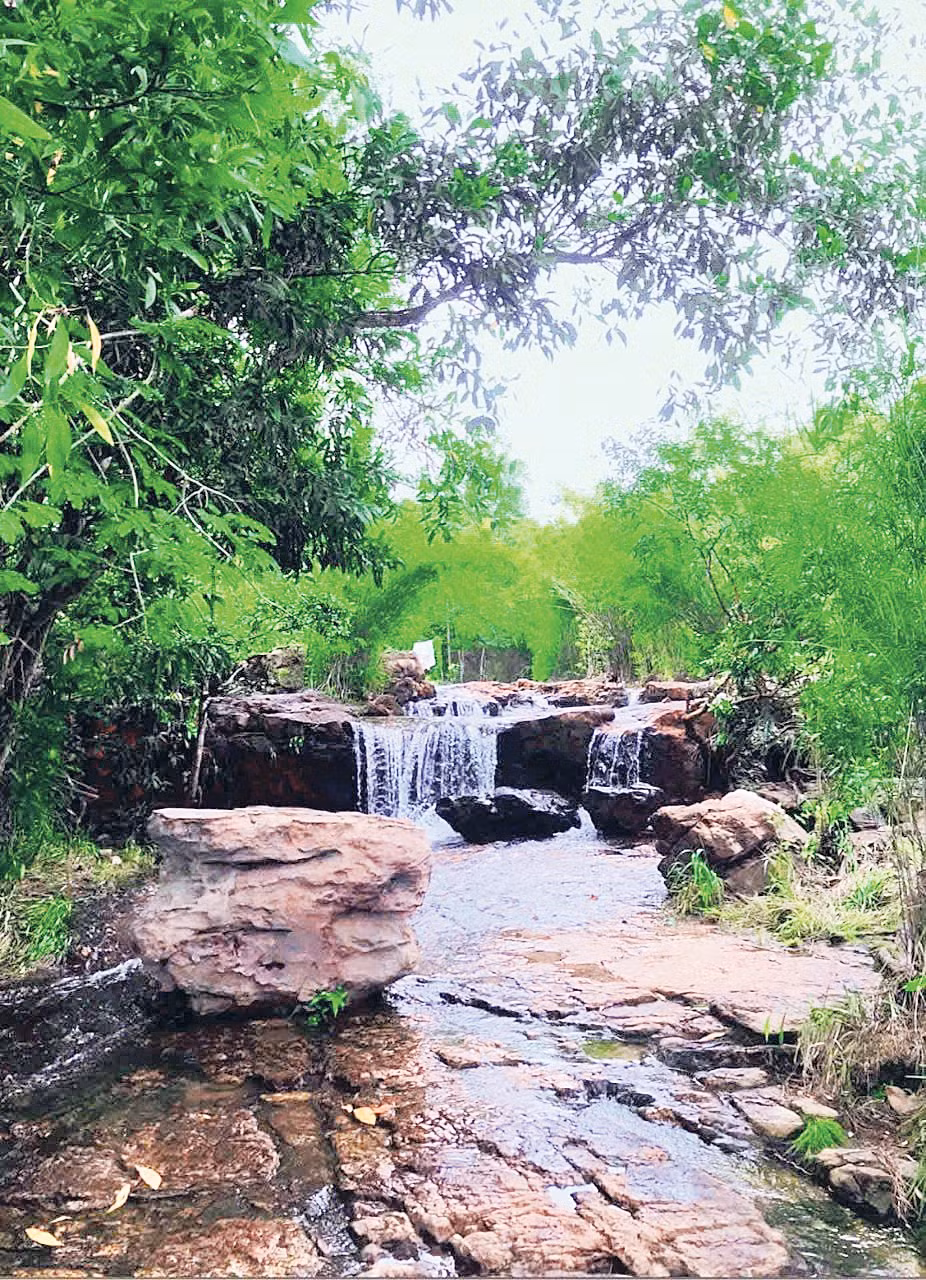 Hòa vào bản tình ca núi rừng