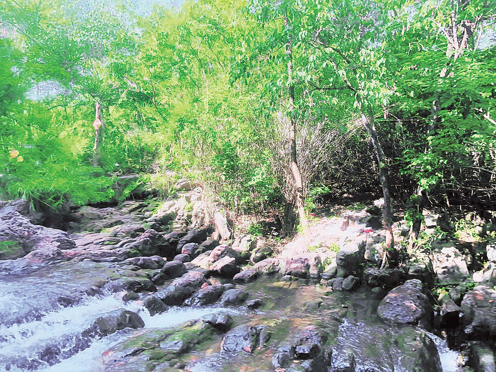 suoi-truc-4.jpg
