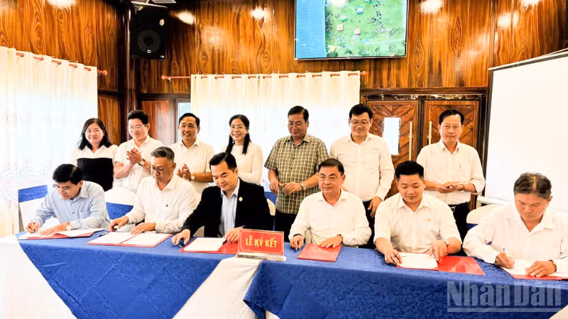 Quang cảnh lễ ký kết hợp tác giữa các đơn vị và doanh nghiệp logistics.