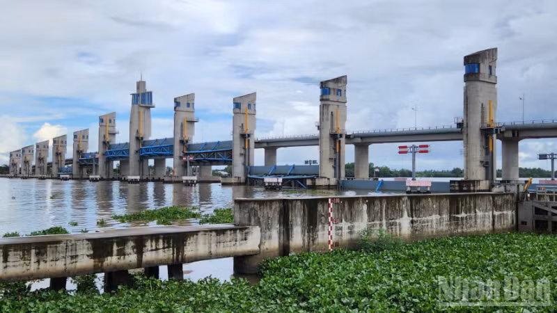 Cụm cống Cái Lớn, Cái Bé được vận hành linh hoạt với tình hình thủy văn bất lợi gây ra.