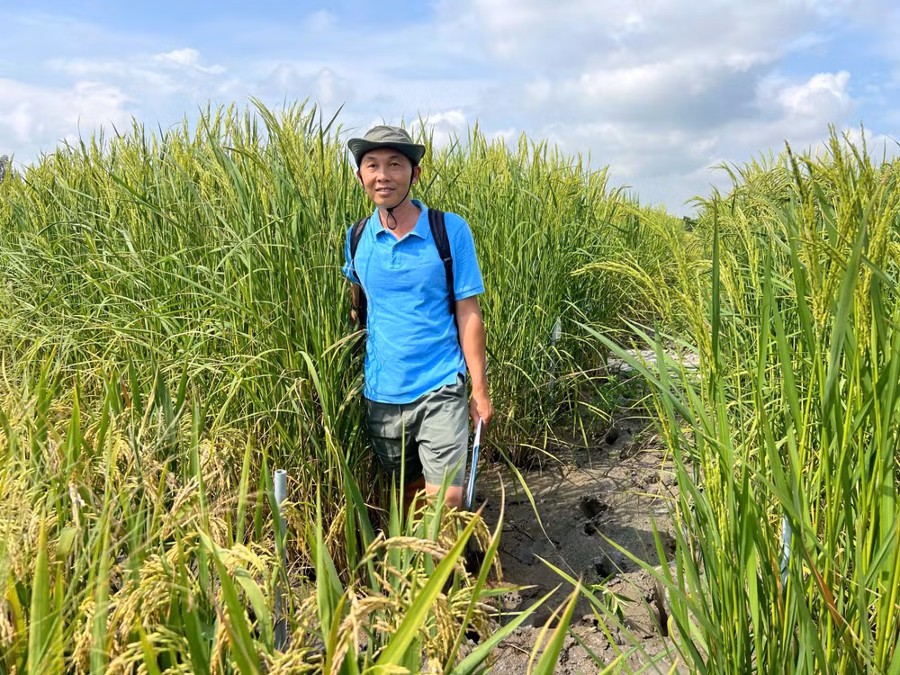 ThS Lê Thanh Phong, Phó Viện trưởng Biến đổi khí hậu, Trường đại học An Giang (Đại học Quốc gia Thành phố Hồ Chí Minh).