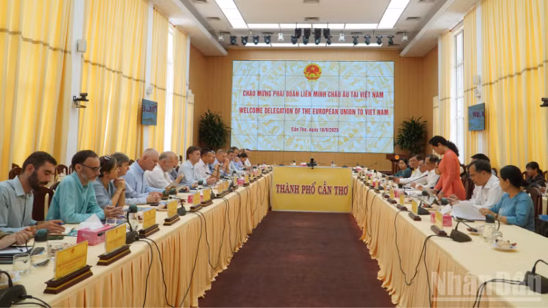 Quang cảnh buổi làm việc.