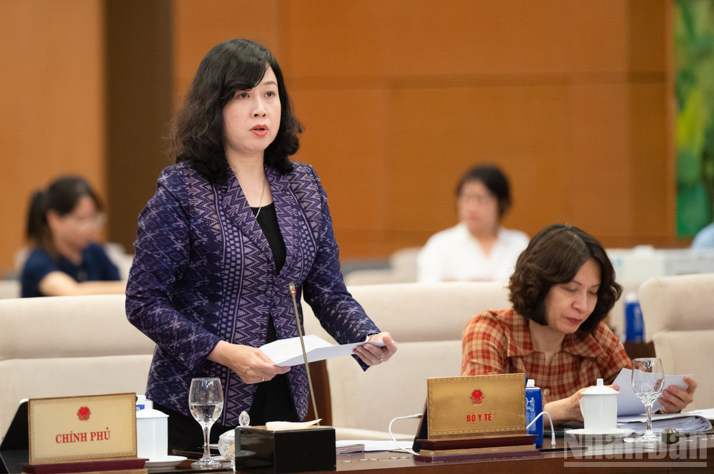 Bộ trưởng Y tế Đào Hồng Lan. (Ảnh: DUY LINH) ndo_br_z61-3779-bo-truong-bo-y-te-dao-hong-lan.jpg