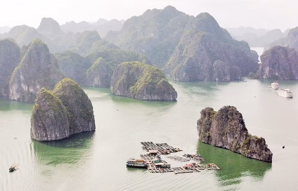 Bè nuôi thủy sản tại đặc khu Cát Bà (Hải Phòng). Ảnh: Khiếu Minh