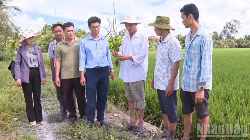 Khoa học và công nghệ giúp nâng cao năng suất, hướng đến nền nông nghiệp xanh và thích ứng với khí hậu.