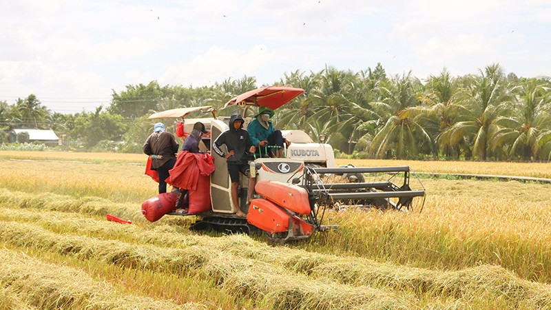 Dịch vụ giúp việc tại Xã Bình Khánh - Gia Hoàng uy tín