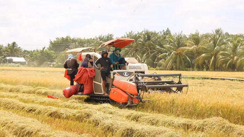 Sử dụng máy gặt đập liên hợp thu hoạch lúa, giúp các thành viên Hợp tác xã nông nghiệp Phát Tài, xã Châu Thành giảm chi phí sản xuất.