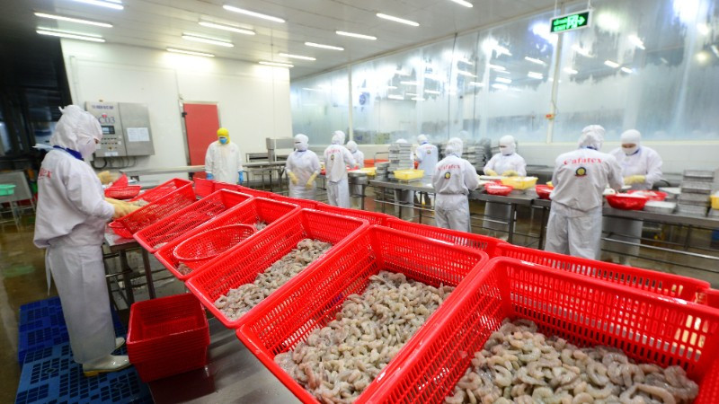 Nghiên cứu chọn tạo giống góp phần quan trọng vào tăng trưởng xuất khẩu thủy sản. 