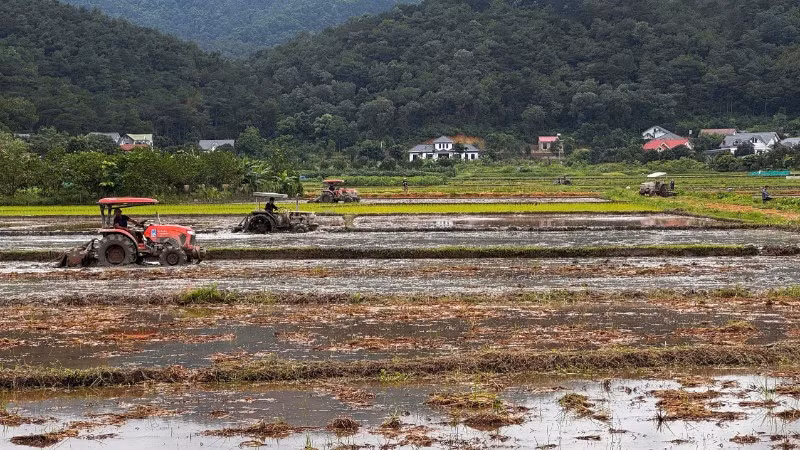 Triển khai cơ giới hóa trên đồng ruộng của các thành viên Hợp tác xã Dịch vụ nông nghiệp và Kinh doanh tổng hợp Nam Sơn (xã Trung Giã, thành phố Hà Nội). Ảnh: Hà Anh