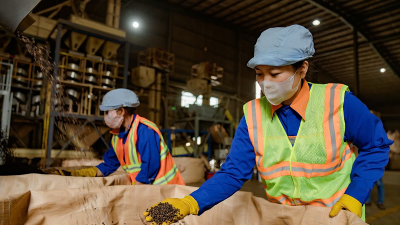 Xuất khẩu cà-phê Việt Nam năm 2025 đạt kỷ lục 8,9 tỷ USD.