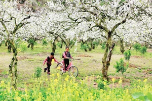 Sắc màu bản H’Mông. (Ảnh: NGÔ MINH PHÓNG)