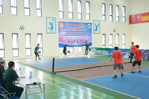 Giải đấu quy tụ 12 đội đến từ các phòng, ban và trung tâm huấn luyện thuộc Cục Gìn giữ hòa bình Việt Nam.