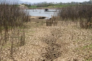 Hình ảnh lòng hồ chứa Gajah Mungkur khô cạn trong mùa khô ở làng Gebang, huyện Wonogiri, tỉnh Trung Java, Indonesia, ảnh chụp ngày 20/9/2023. (Nguồn: XINHUA)