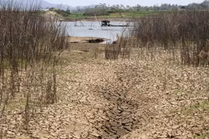Hình ảnh lòng hồ chứa Gajah Mungkur khô cạn trong mùa khô ở làng Gebang, huyện Wonogiri, tỉnh Trung Java, Indonesia, ảnh chụp ngày 20/9/2023. (Nguồn: XINHUA)
