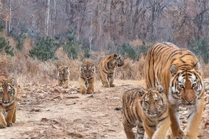 (Ảnh minh họa: Xinhua)