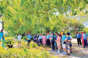 Các tour du lịch góp phần tạo nên sức hút cho làng Quỳnh Đôi. (Ảnh: QUANG MINH)