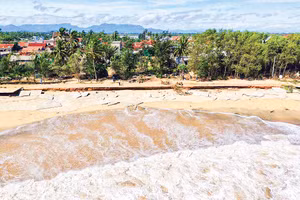 Sóng dữ bão số 13 năm 2025 phá hủy tuyến đường bê-tông ven biển xã Long Phụng. (Ảnh: HIỂN CỪ)