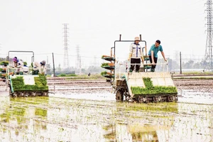 Hợp tác xã Dịch vụ nông nghiệp và Kinh doanh tổng hợp Liên Hà, xã Thư Lâm (Hà Nội) đẩy mạnh đưa cơ giới hóa vào sản xuất nông nghiệp. (Ảnh: TTXVN)