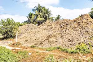 Đất mặt ruộng chất thành đống, được tập kết sát ven đường.