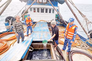 Lực lượng chức năng Bộ Tư lệnh Vùng Cảnh sát biển 4 kiểm tra tàu cá chở 100.000 lít dầu DO không có hóa đơn, chứng từ chứng minh nguồn gốc hợp pháp.