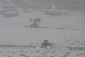 Tuyết rơi dày tại New York, Mỹ. (Ảnh: THX/TTXVN)